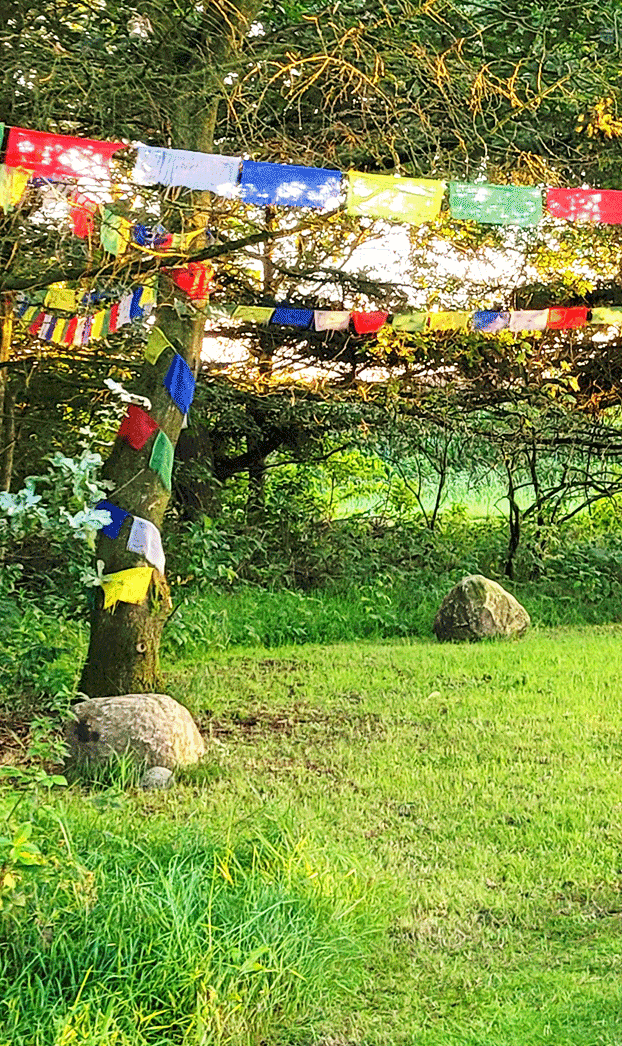 Schattenlichtraum Naturheilräume Naturheilraum Meditatives Bogenschiessen Meditatives Bogenschießen Energiearbeit Energetisches Bogenschießen Energetisches Bogenschiessen Rituale Murti Ganesha Buddha Kraftbaum Kraftplatz Elfen und Feen Aufsteigende Energie Absteigende Energie Longina und Thomas