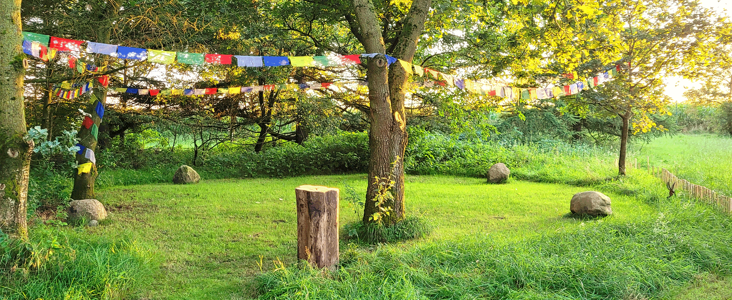 Schattenlichtraum Naturheilräume Naturheilraum Meditatives Bogenschiessen Meditatives Bogenschießen Energiearbeit Energetisches Bogenschießen Energetisches Bogenschiessen Rituale Murti Ganesha Buddha Kraftbaum Kraftplatz Elfen und Feen Aufsteigende Energie Absteigende Energie Longina und Thomas