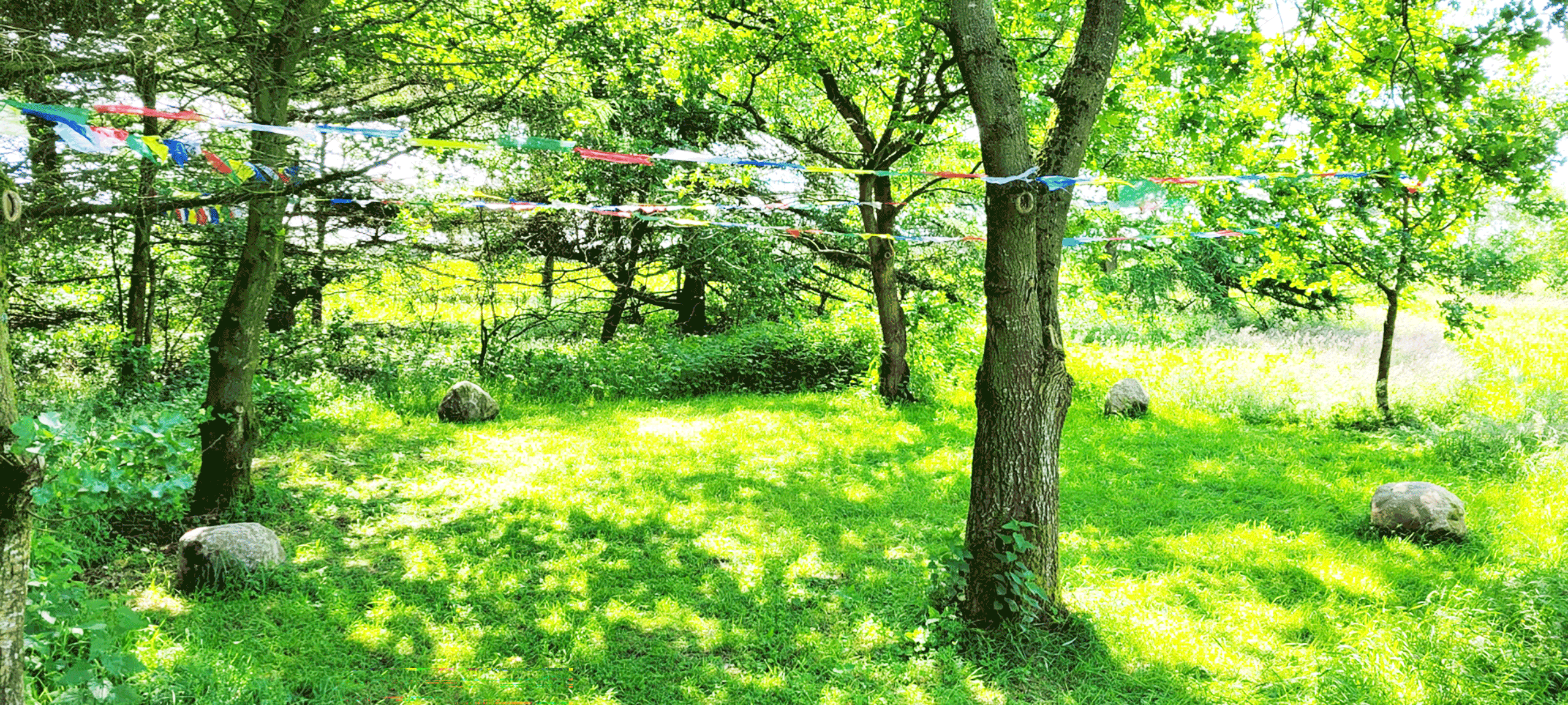 Schattenlichtraum Naturheilräume Naturheilraum Meditatives Bogenschiessen Meditatives Bogenschießen Energiearbeit Energetisches Bogenschießen Energetisches Bogenschiessen Rituale Murti Ganesha Buddha Kraftbaum Kraftplatz Elfen und Feen Aufsteigende Energie Absteigende Energie Longina und Thomas