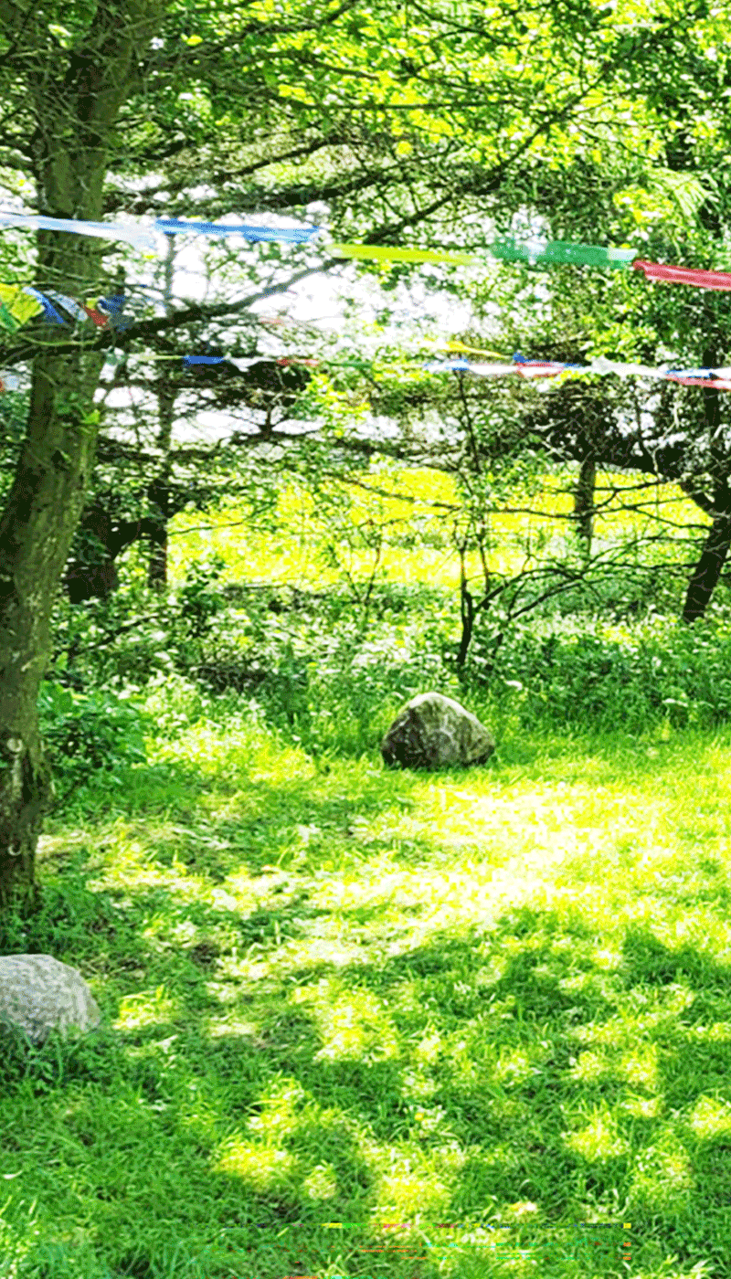 Schattenlichtraum Naturheilräume Naturheilraum Meditatives Bogenschiessen Meditatives Bogenschießen Energiearbeit Energetisches Bogenschießen Energetisches Bogenschiessen Rituale Murti Ganesha Buddha Kraftbaum Kraftplatz Elfen und Feen Aufsteigende Energie Absteigende Energie Longina und Thomas