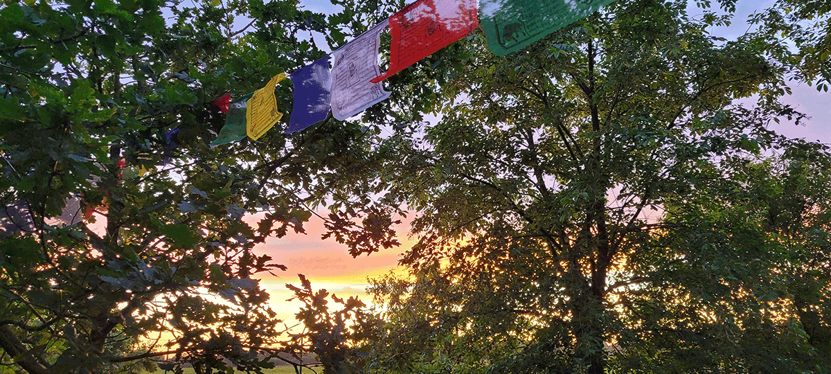 Schattenlichtraum Naturheilräume Naturheilraum Meditatives Bogenschiessen Meditatives Bogenschießen Energiearbeit Energetisches Bogenschießen Energetisches Bogenschiessen Rituale Murti Ganesha Buddha Kraftbaum Kraftplatz Elfen und Feen Aufsteigende Energie Absteigende Energie Longina und Thomas