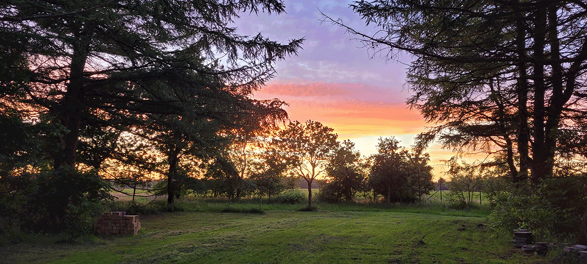 Schattenlichtraum Naturheilräume Naturheilraum Meditatives Bogenschiessen Meditatives Bogenschießen Energiearbeit Energetisches Bogenschießen Energetisches Bogenschiessen Rituale Murti Ganesha Buddha Kraftbaum Kraftplatz Elfen und Feen Aufsteigende Energie Absteigende Energie Longina und Thomas
