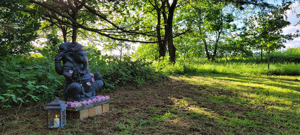 Schattenlichtraum Naturheilräume Naturheilraum Meditatives Bogenschiessen Meditatives Bogenschießen Energiearbeit Energetisches Bogenschießen Energetisches Bogenschiessen Rituale Murti Ganesha Buddha Kraftbaum Kraftplatz Elfen und Feen Aufsteigende Energie Absteigende Energie Longina und Thomas