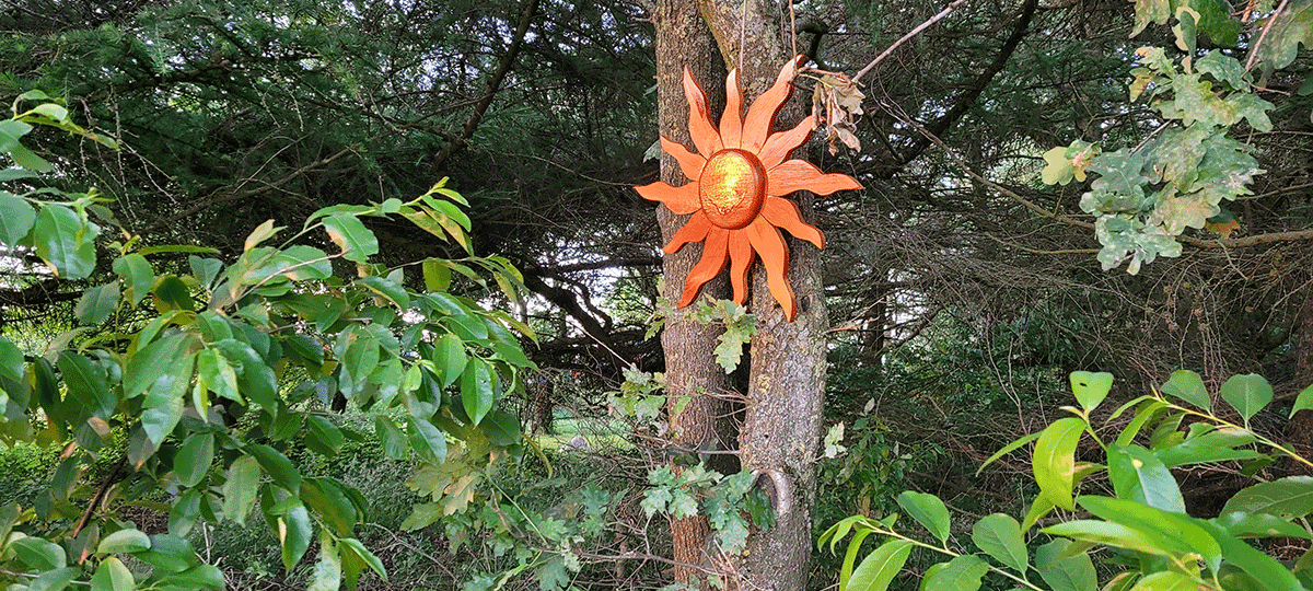 Schattenlichtraum Naturheilräume Naturheilraum Meditatives Bogenschiessen Meditatives Bogenschießen Energiearbeit Energetisches Bogenschießen Energetisches Bogenschiessen Rituale Murti Ganesha Buddha Kraftbaum Kraftplatz Elfen und Feen Aufsteigende Energie Absteigende Energie Longina und Thomas