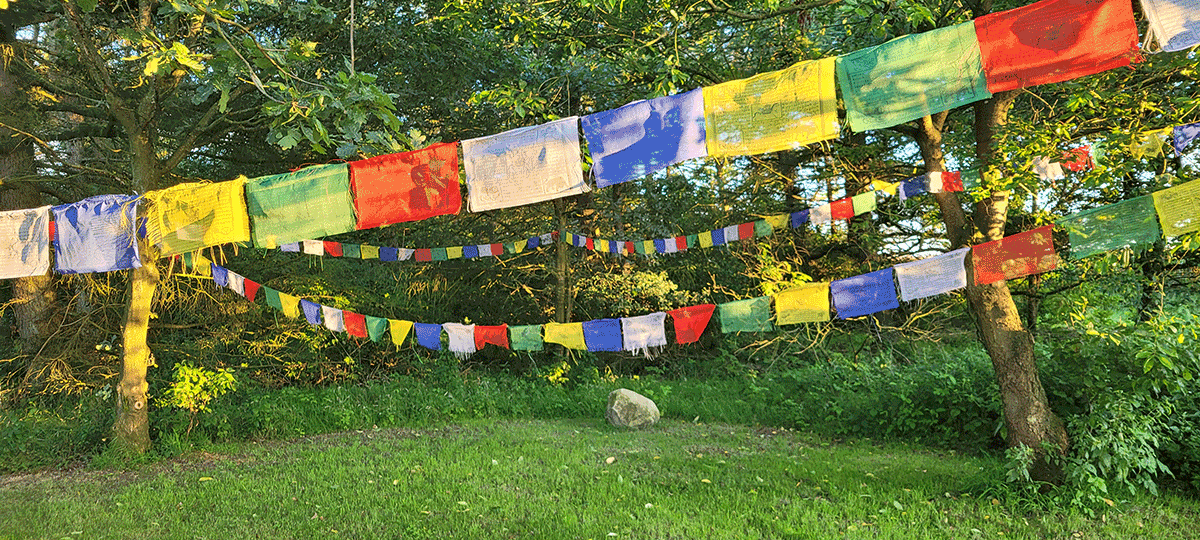 Schattenlichtraum Naturheilräume Naturheilraum Meditatives Bogenschiessen Meditatives Bogenschießen Energiearbeit Energetisches Bogenschießen Energetisches Bogenschiessen Rituale Murti Ganesha Buddha Kraftbaum Kraftplatz Elfen und Feen Aufsteigende Energie Absteigende Energie Longina und Thomas