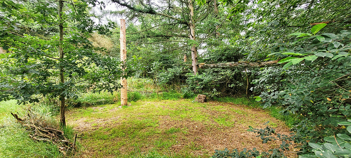 Schattenlichtraum Naturheilräume Naturheilraum Meditatives Bogenschiessen Meditatives Bogenschießen Energiearbeit Energetisches Bogenschießen Energetisches Bogenschiessen Rituale Murti Ganesha Buddha Kraftbaum Kraftplatz Elfen und Feen Aufsteigende Energie Absteigende Energie Longina und Thomas