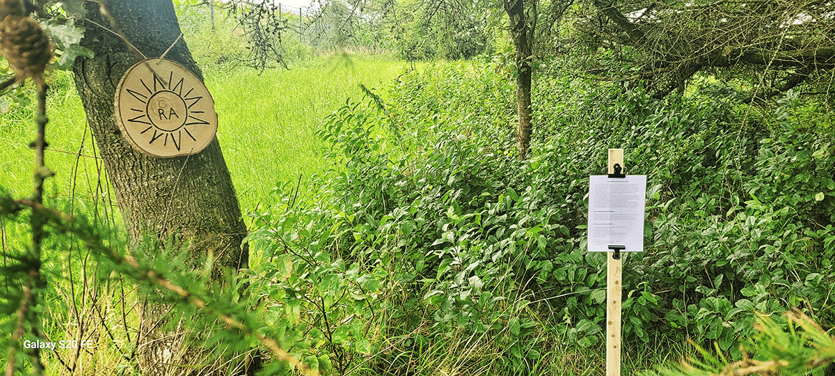 Schattenlichtraum Naturheilräume Naturheilraum Meditatives Bogenschiessen Meditatives Bogenschießen Energiearbeit Energetisches Bogenschießen Energetisches Bogenschiessen Rituale Murti Ganesha Buddha Kraftbaum Kraftplatz Elfen und Feen Aufsteigende Energie Absteigende Energie Longina und Thomas