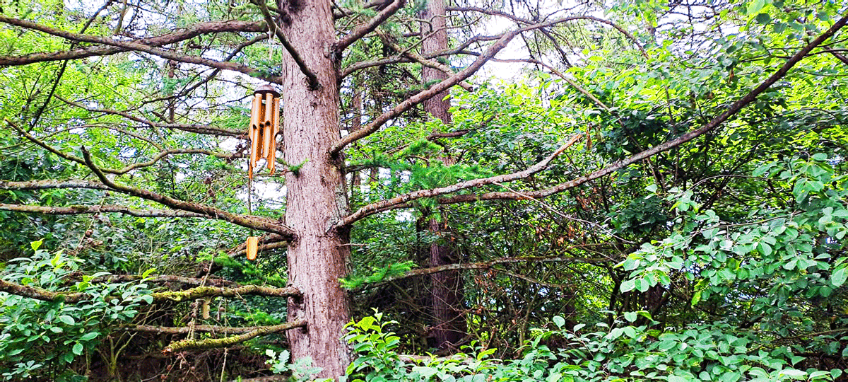 Schattenlichtraum Naturheilräume Naturheilraum Meditatives Bogenschiessen Meditatives Bogenschießen Energiearbeit Energetisches Bogenschießen Energetisches Bogenschiessen Rituale Murti Ganesha Buddha Kraftbaum Kraftplatz Elfen und Feen Aufsteigende Energie Absteigende Energie Longina und Thomas